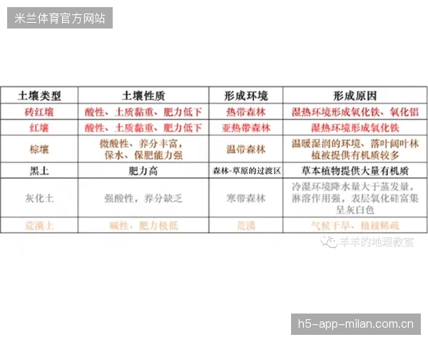 本菲卡通过斜线推进创造大空间：以战术思维驱动品牌叙事的新范式